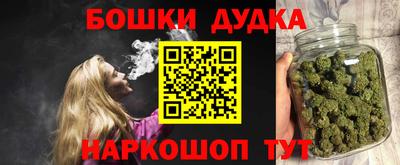 a pvp Новодвинск