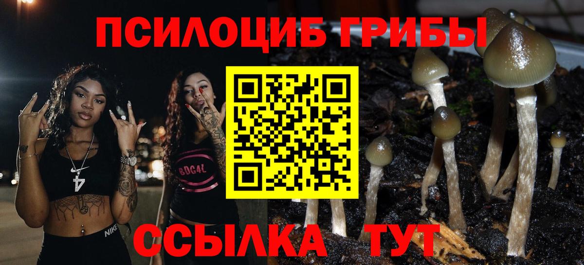 Псилоцибиновые грибы мицелий Троицк