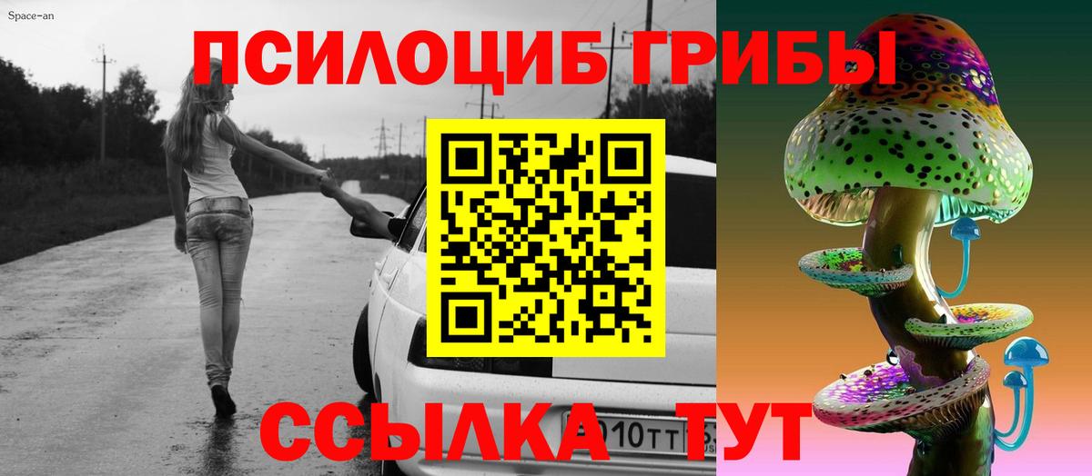 Троицк  Галлюциногенные грибы Psilocybine cubensis  Вход с VPN 